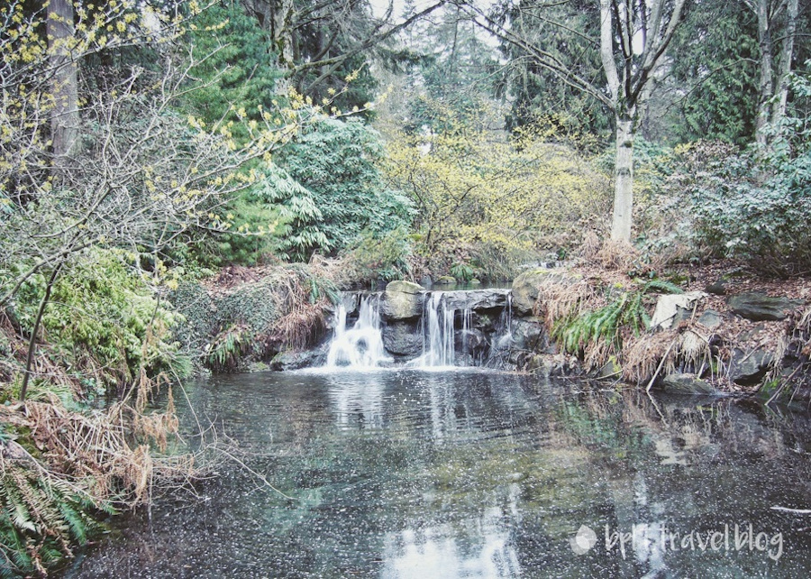 Mini waterfall at Stanley Park, Vancouver.
